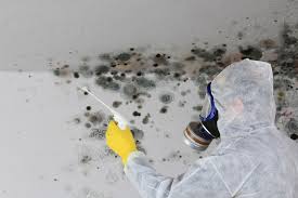 Best Comprehensive Air Testing for Mold Contaminants  in Hanna City, IL